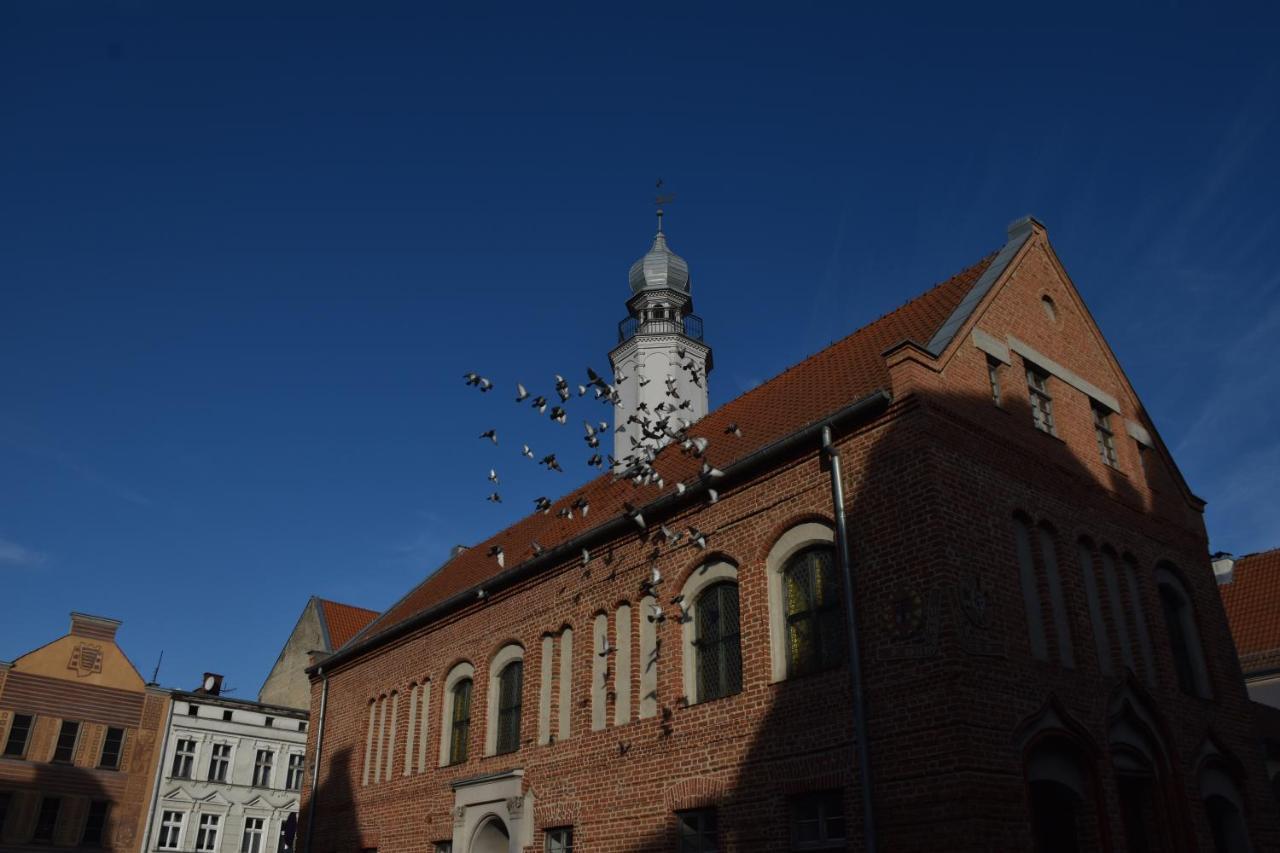 Copernicus Prestige Lejlighed Olsztyn  Eksteriør billede